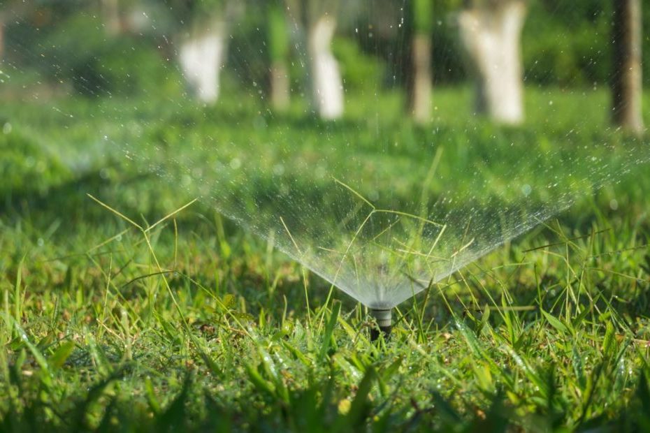 irrigation sprinkler in a lawn